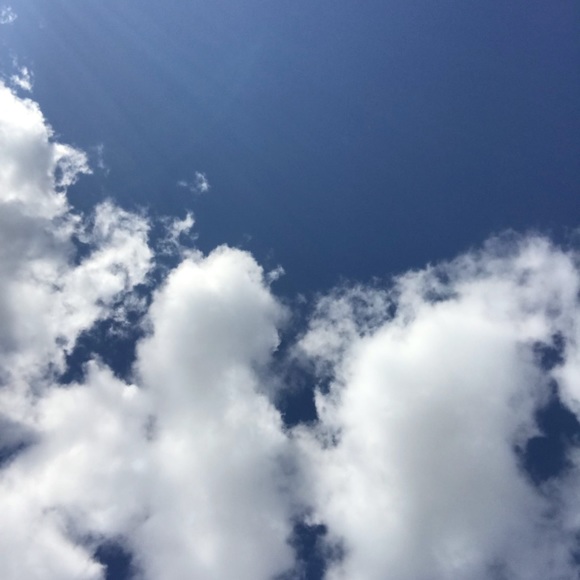 Meet your Posher, Linh - Picture 1 of 1